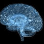 Neurocirugía Contemporánea ISSN 1988-2661